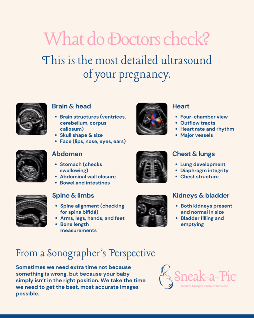 20-week self-pay anatomy scan flyer at Sneak-a-Pic Ultrasound & Spa in Houston, TX